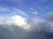 SENSE OF わんDER-Ireland rainbow could